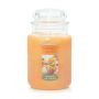 Yankee Candle Mango Ice Cream Large Jar 623 gr.